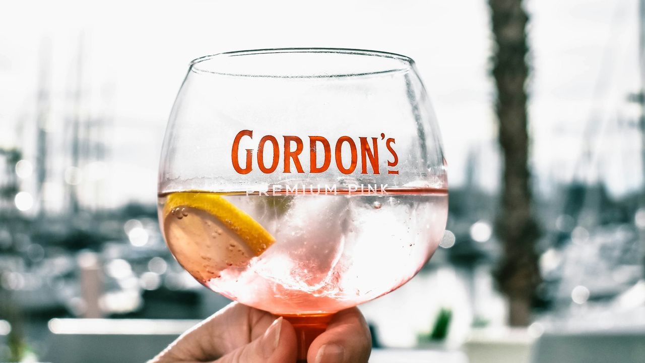 a person holding a wine glass in their hand