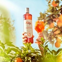 Aperitivo PETRONI 1L