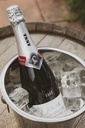 Cava ANNA CODORNIU MAGNUM 1.5L