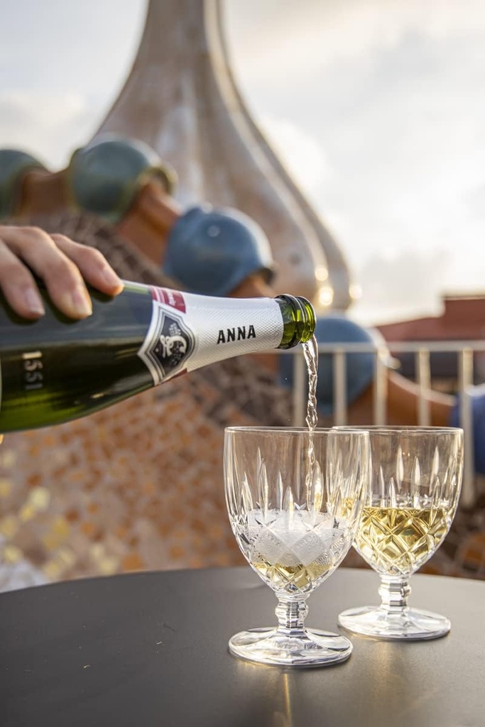 Cava ANNA CODORNIU MAGNUM 1.5L