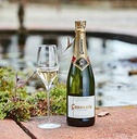 Cava CODORNIU CUVEE ORIGINAL ECO BRUT NATURE 75cl